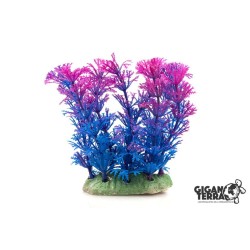 !!!!!    Plante sur pied 12...