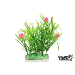 Plante sur pied 12 cm – 521