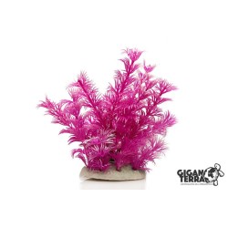 Plante sur pied 12 cm – 522