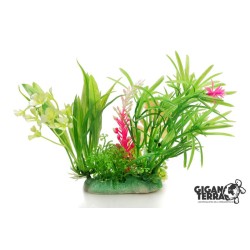 Plante sur pied 12 cm – 523