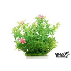 Plante sur pied 12 cm – 528