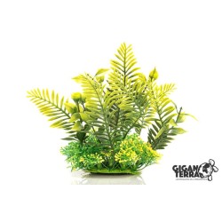 Plante sur pied 12 cm – 529