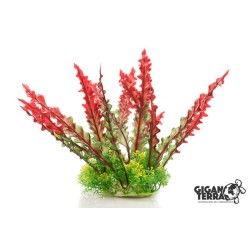 Plante sur pied 18-22 cm – 536