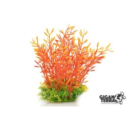 Plante sur pied 18-22 cm – 537