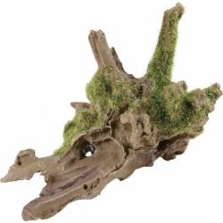 !!!!! DECOR RACINE PM2   /...