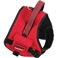 HARNAIS CONF REG XS MOOV ROUGE