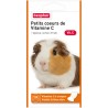 VITAMINE C RONGEURS PETITS COEURS 150TAB**ICC