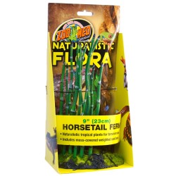 !!!!! DECO PLANTE HORSETAIL...