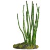 !!!!! DECO PLANTE HORSETAIL 23CM BU51E** Zolux