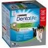 DENTALIFE MEDIUM XL 966GR** ( 2 PCS /CTN )