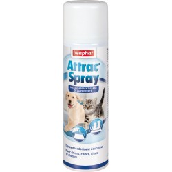 SPRAY ATTRACTIF 250ML icc*+
