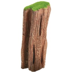 FOSSIL WOOD L (20x9x8cm)**