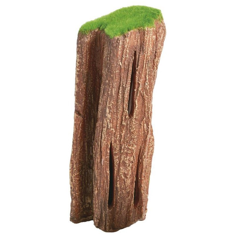 FOSSIL WOOD L (20x9x8cm)**