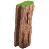 FOSSIL WOOD L (20x9x8cm)**