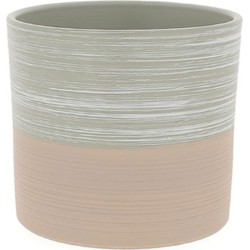 C.POT rose D10.5 H10.5CM