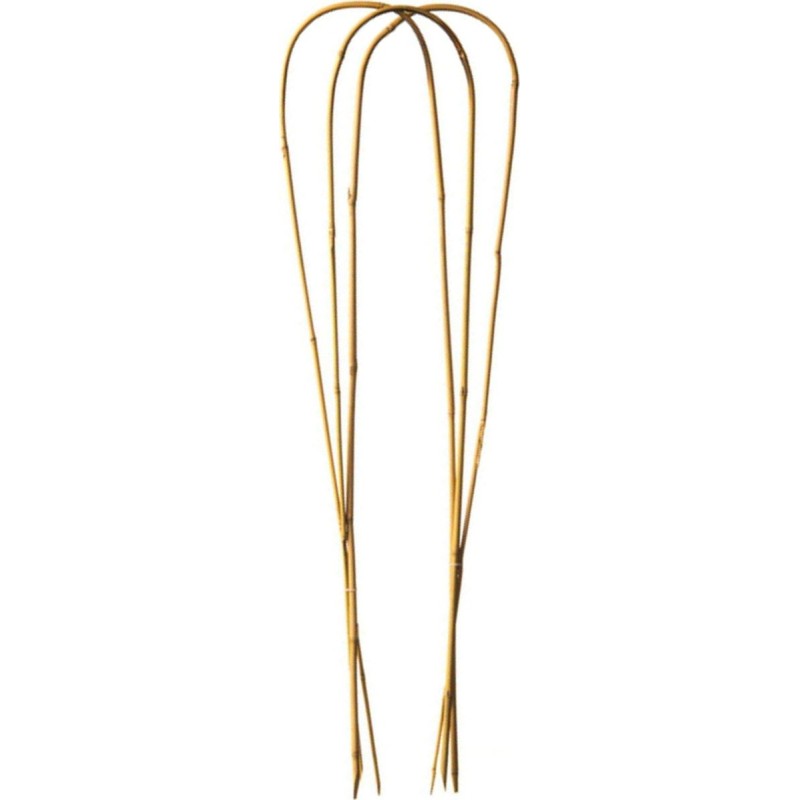 TUTEURS BAMBOU ARCEAU 120 CM - x3