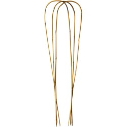 TUTEURS BAMBOU ARCEAU 60 CM...