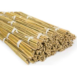 TUTEURS BAMBOU 210 CM 16/18...