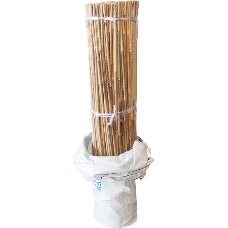 TUTEURS BAMBOU VRAC 90 CM 08/10 MM - PAR 500