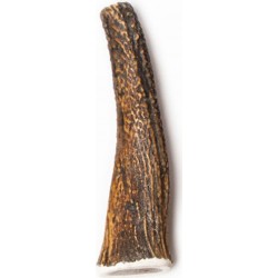 BOIS DE CERF ENTIER TAILLE...