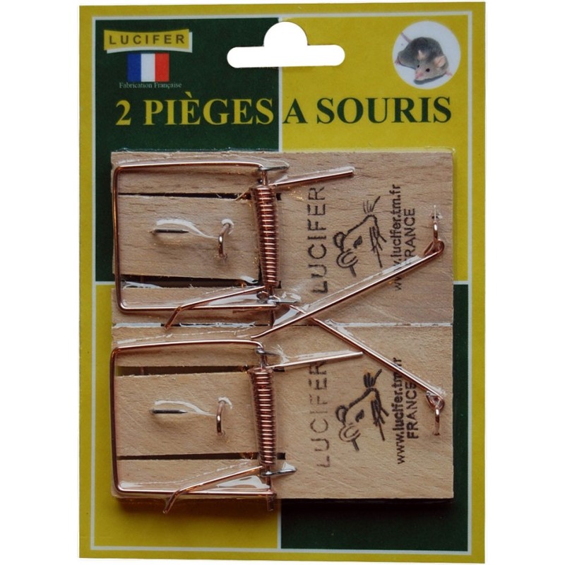 CARTE DE 2 PIEGES A SOURIS