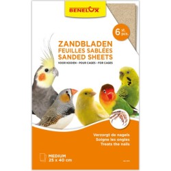 !!!!!!!FEUILLES SABLEES...