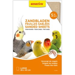 !!!!!!!FEUILLES SABLEE...