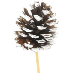 PIC POMME DE PIN BLANC Ø7...