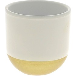 C.POT BLANC/BASE OR D11.5...