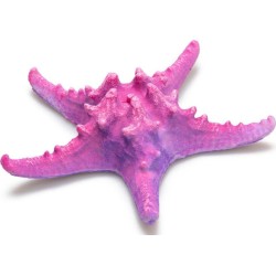 ETOILE DE MER ROSE...