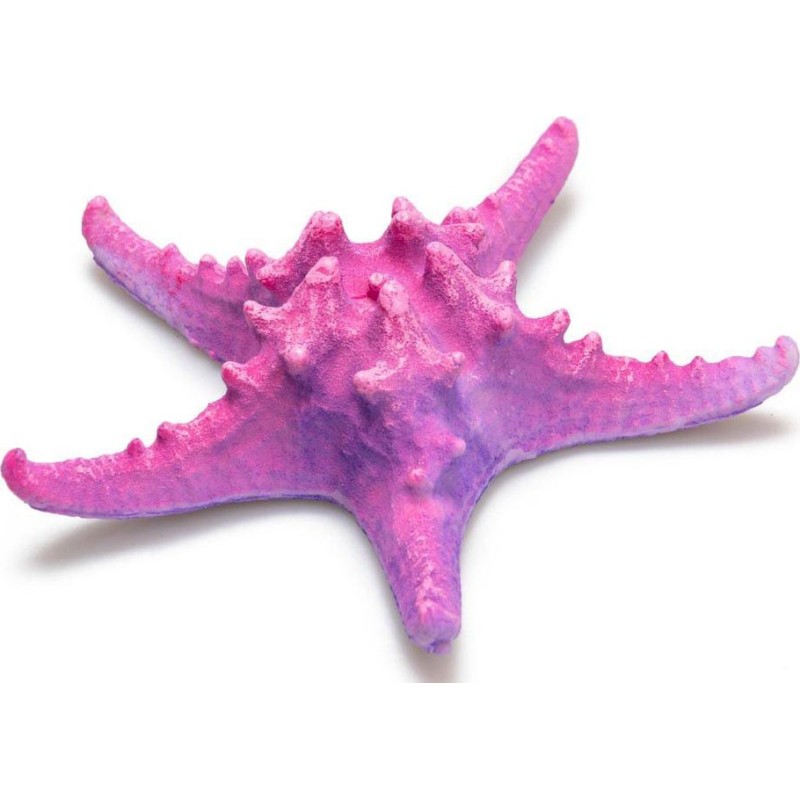 ETOILE DE MER ROSE  Diamétre 17