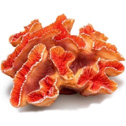 CORAUX  16.5 X 14 X 17 CM