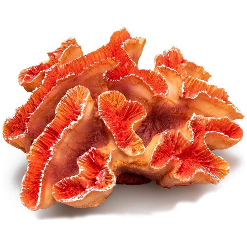 CORAUX  16.5 X 14 X 17 CM