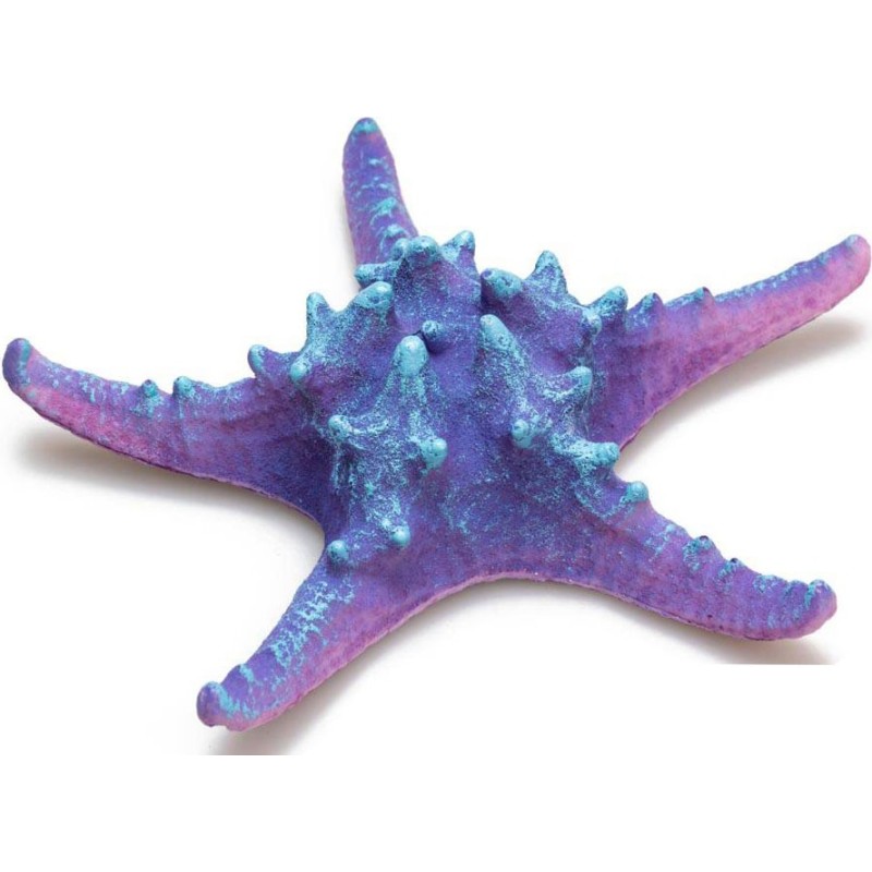 ETOILE DE MER BLEUE   Diamétre 17