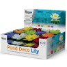 DECO NENUPHAR DISPLAY 36 PCS