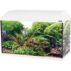 KIT AQUA ISEO 60 LED BLANC