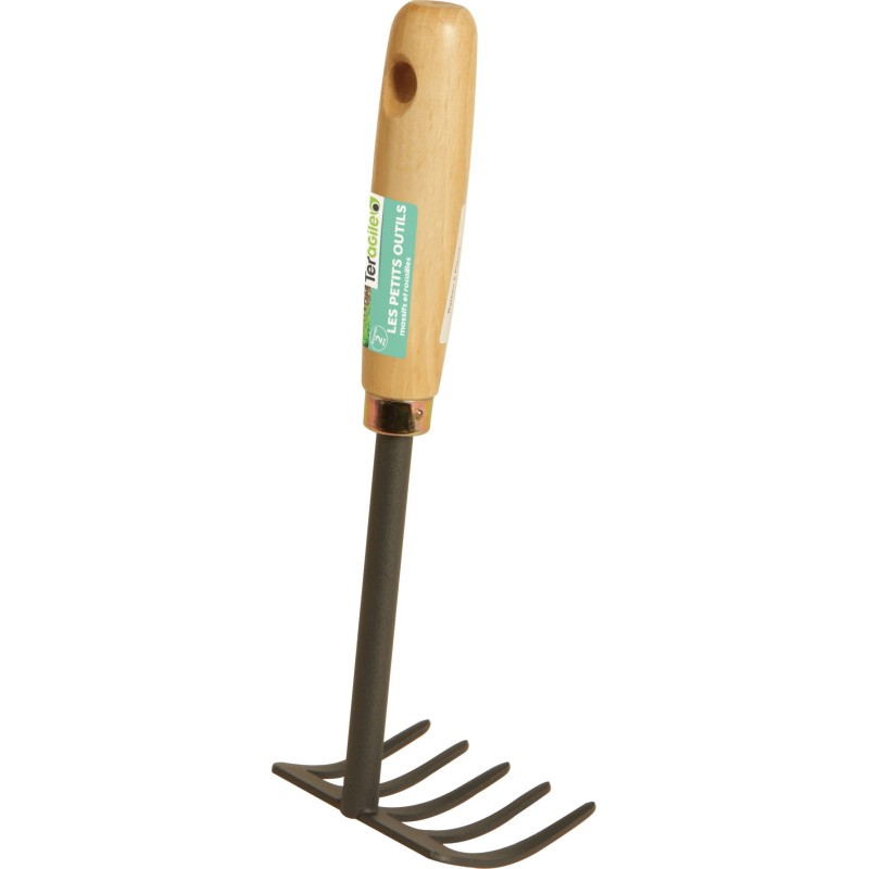 TER RATEAU A FLEURS 5 DTS - remplace 600438