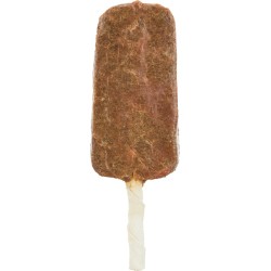 DENTA FUN CHICKEN POP AVEC...