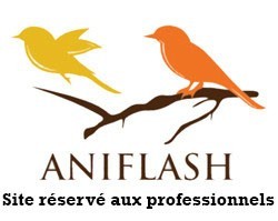 Aniflash